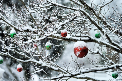 Decorated Tree Branches wallpaper 480x320