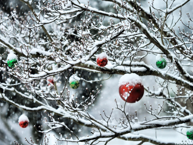 Decorated Tree Branches screenshot #1 640x480