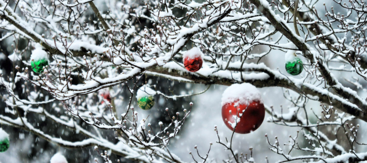 Decorated Tree Branches wallpaper 720x320