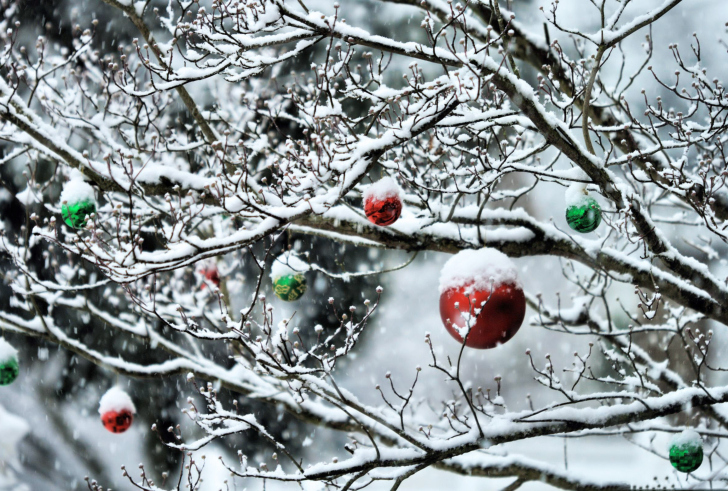 Decorated Tree Branches screenshot #1