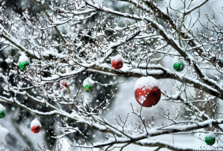 Decorated Tree Branches Picture for Android, iPhone and iPad