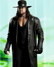Undertaker WCW wallpaper 176x220