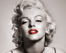 Обои Marilyn Monroe 220x176