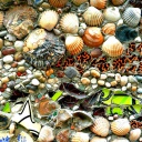 Screenshot №1 pro téma Shells and Pebbles 128x128