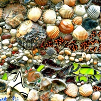 Обои Shells and Pebbles 208x208