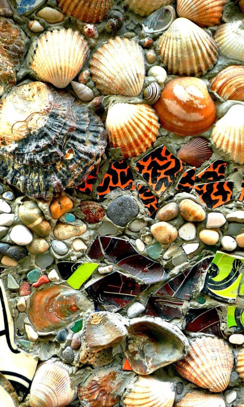 Shells and Pebbles wallpaper 480x800