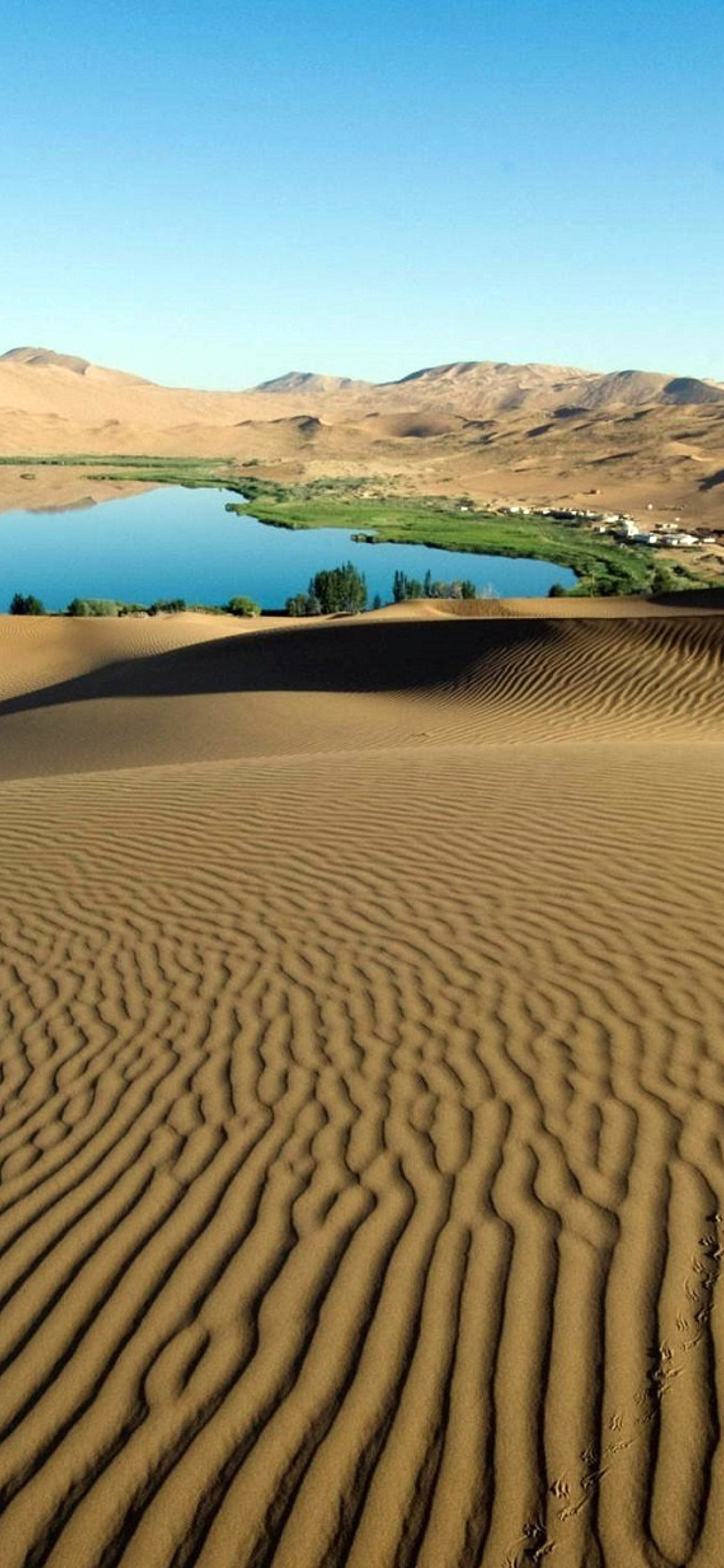 Sfondi Sand Dunes 1170x2532