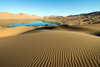 Sand Dunes - Obrázkek zdarma pro 1024x768