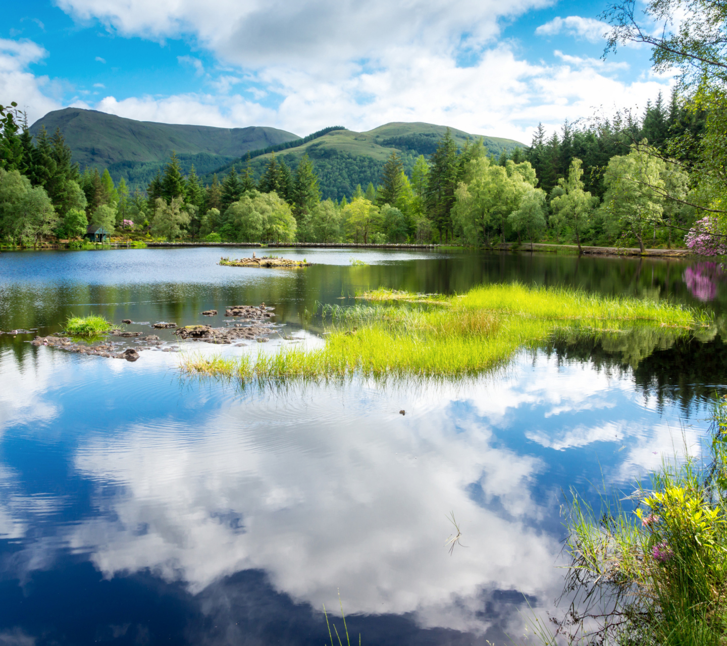 Fondo de pantalla Scotland Landscape 1440x1280