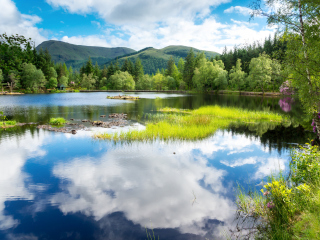 Fondo de pantalla Scotland Landscape 320x240