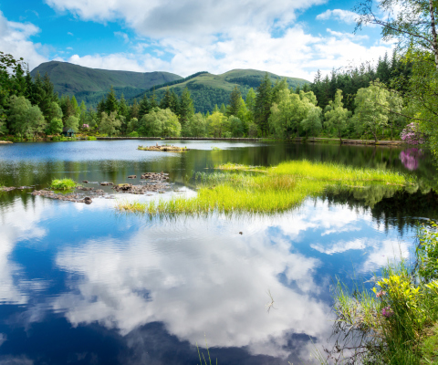 Fondo de pantalla Scotland Landscape 480x400