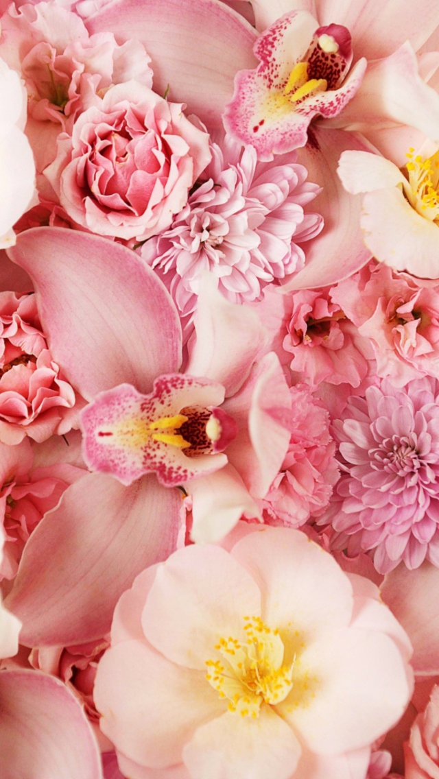 Pink Orchids screenshot #1 640x1136