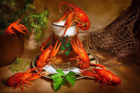 Fondo de pantalla Beer And Crawfish 480x320