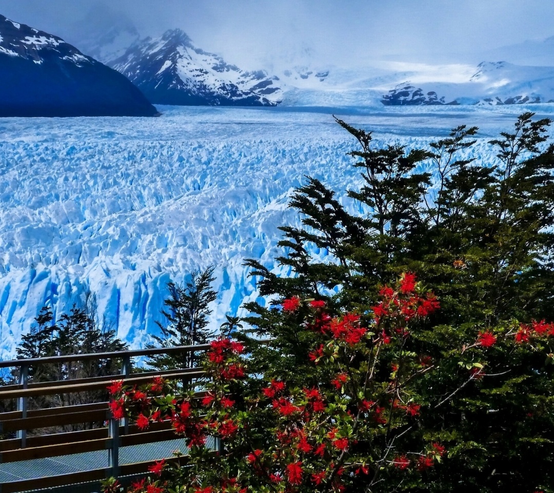 Das Perito Moreno Glacier Wallpaper 1080x960