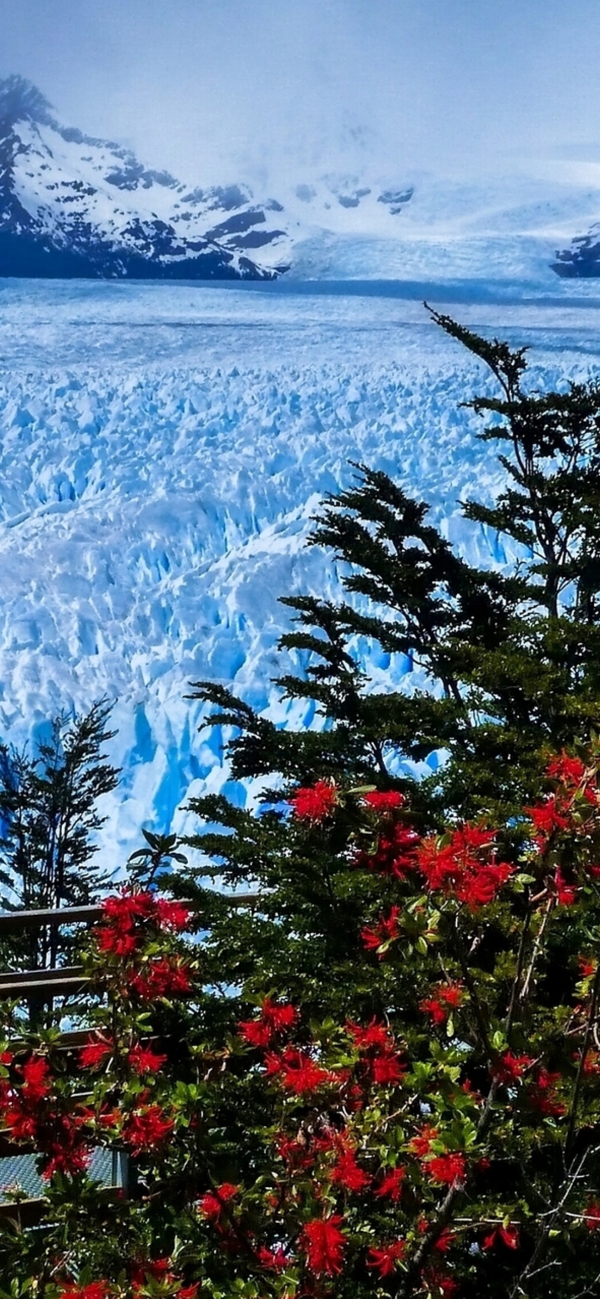 Perito Moreno Glacier wallpaper 1170x2532