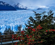 Das Perito Moreno Glacier Wallpaper 176x144