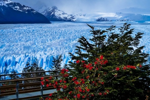 Screenshot №1 pro téma Perito Moreno Glacier 480x320