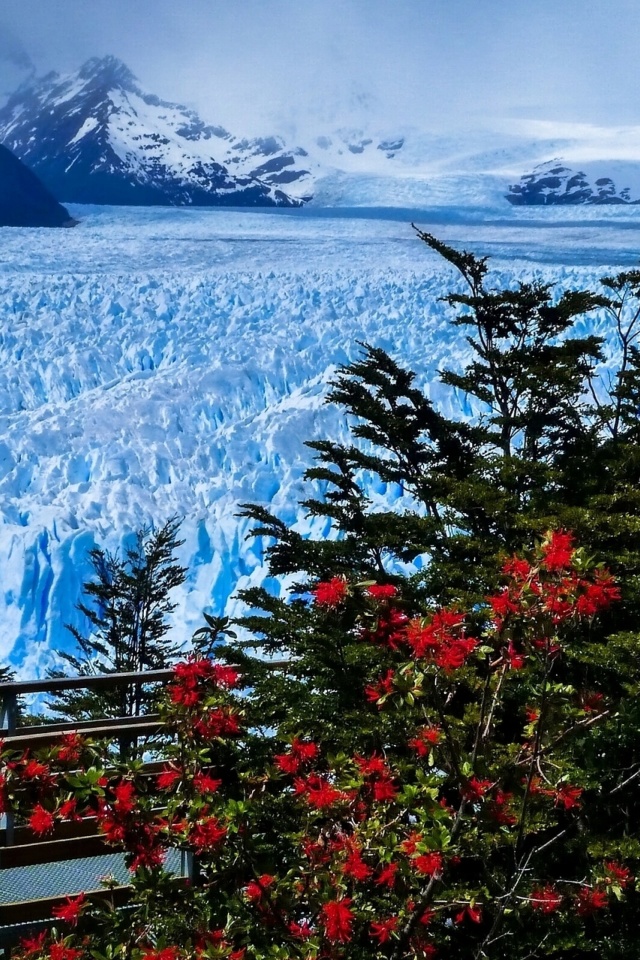 Das Perito Moreno Glacier Wallpaper 640x960