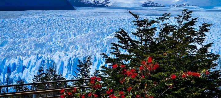 Das Perito Moreno Glacier Wallpaper 720x320