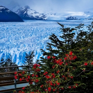 Perito Moreno Glacier papel de parede para celular para 128x128