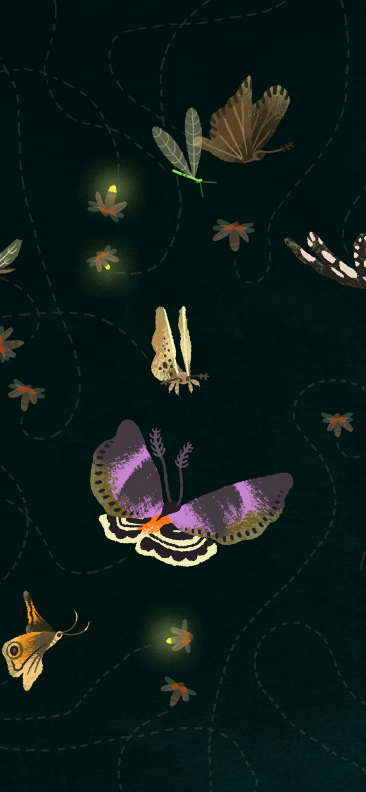 Das Butterflies Wallpaper 1170x2532