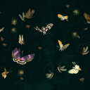 Butterflies wallpaper 128x128
