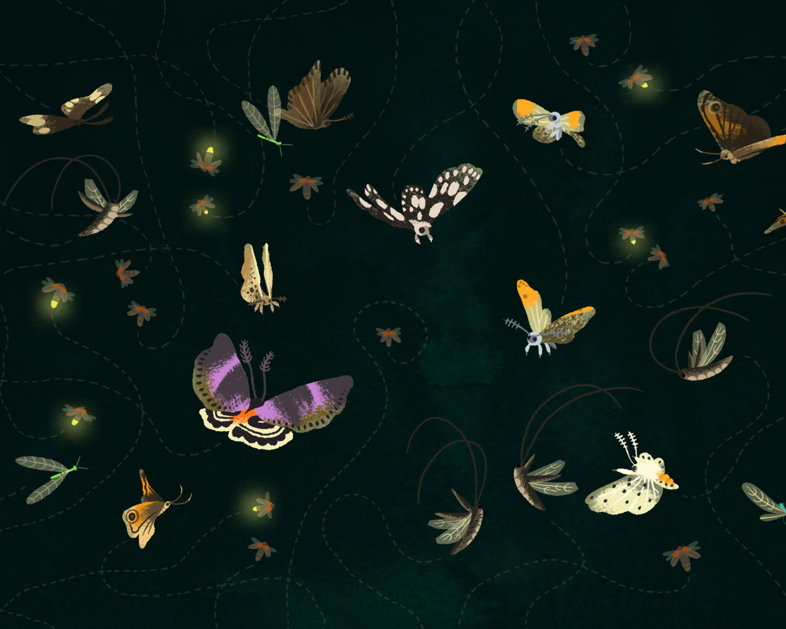 Das Butterflies Wallpaper 1600x1280