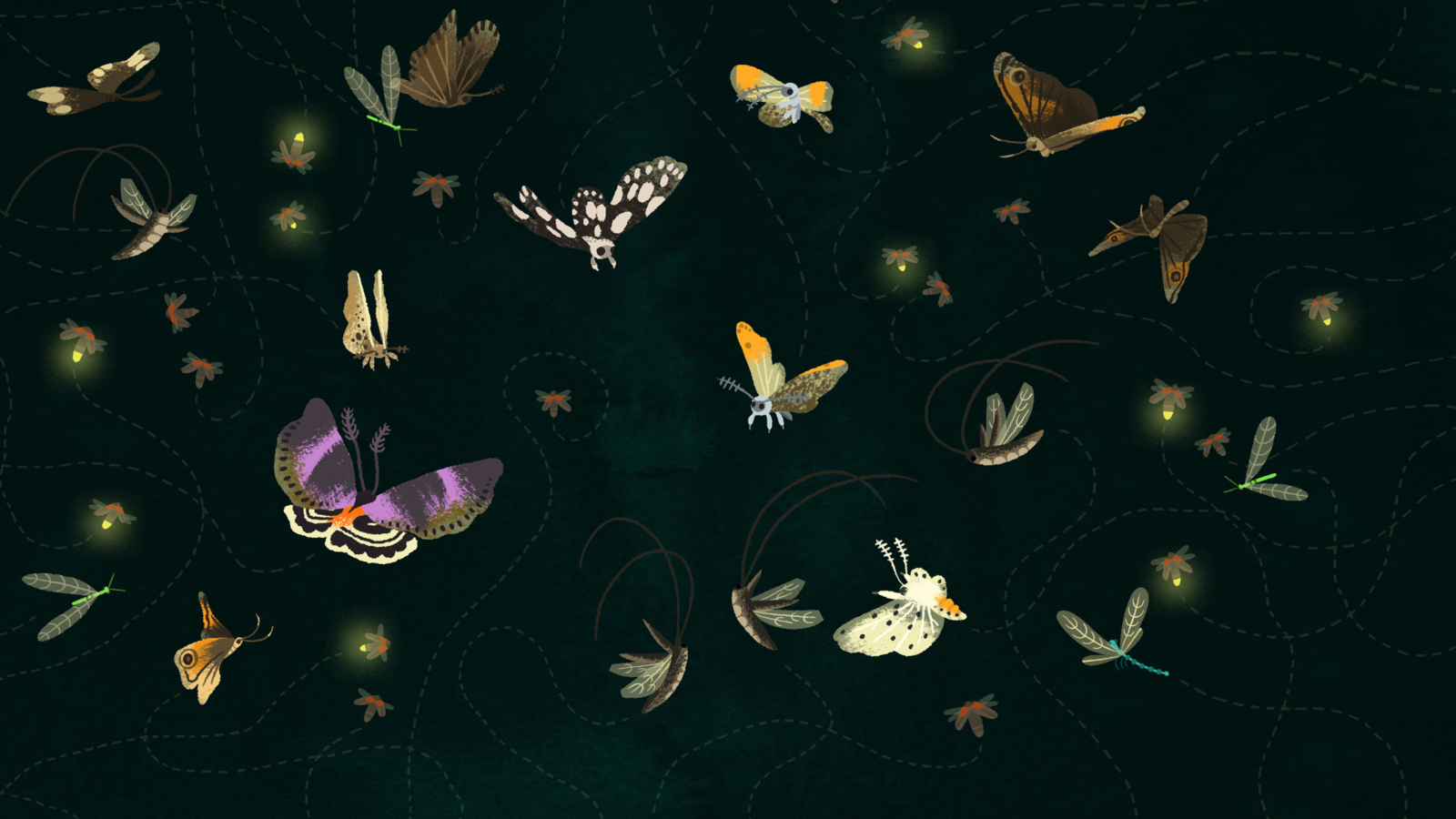 Butterflies screenshot #1 1600x900