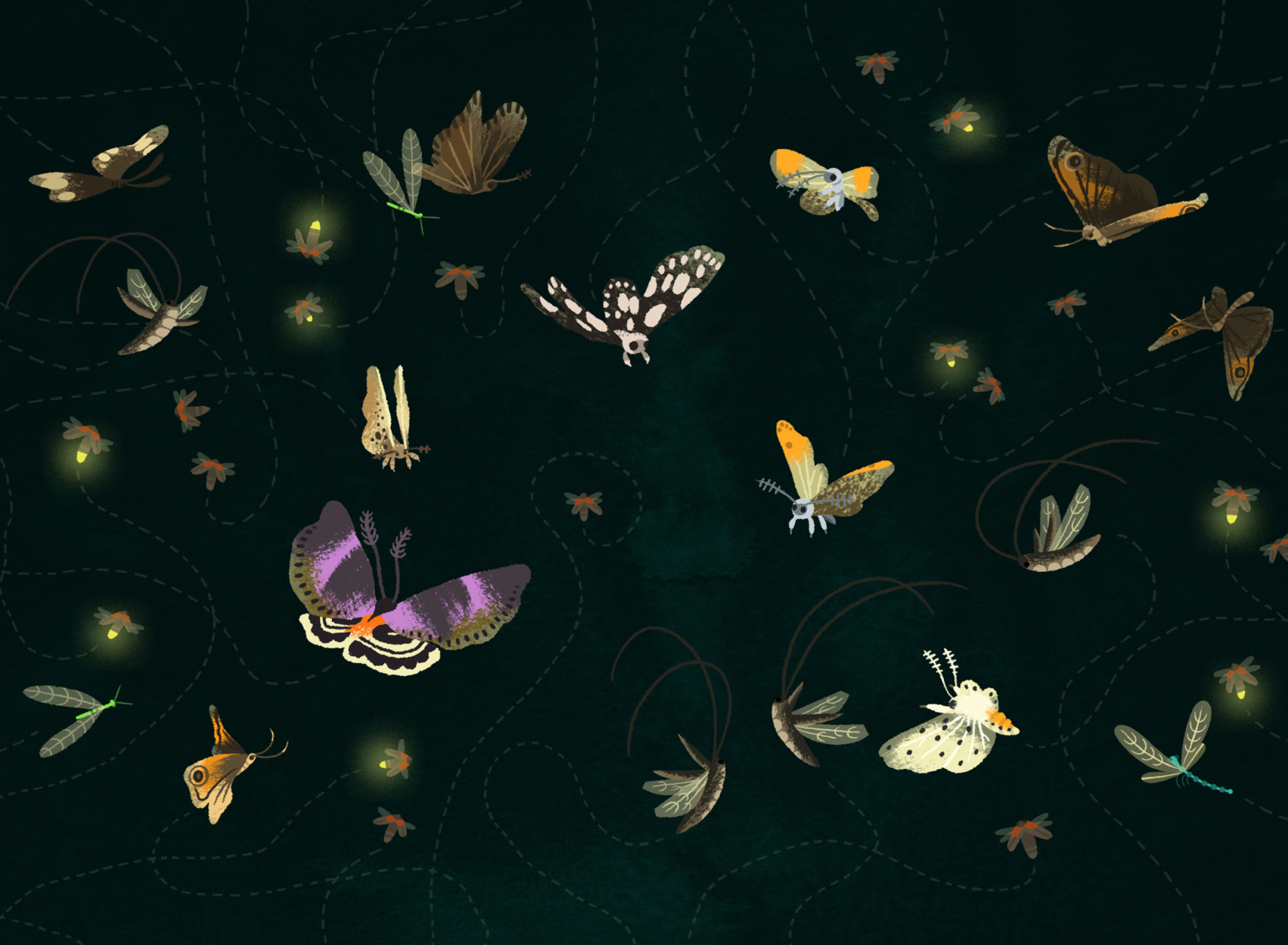 Das Butterflies Wallpaper 1920x1408