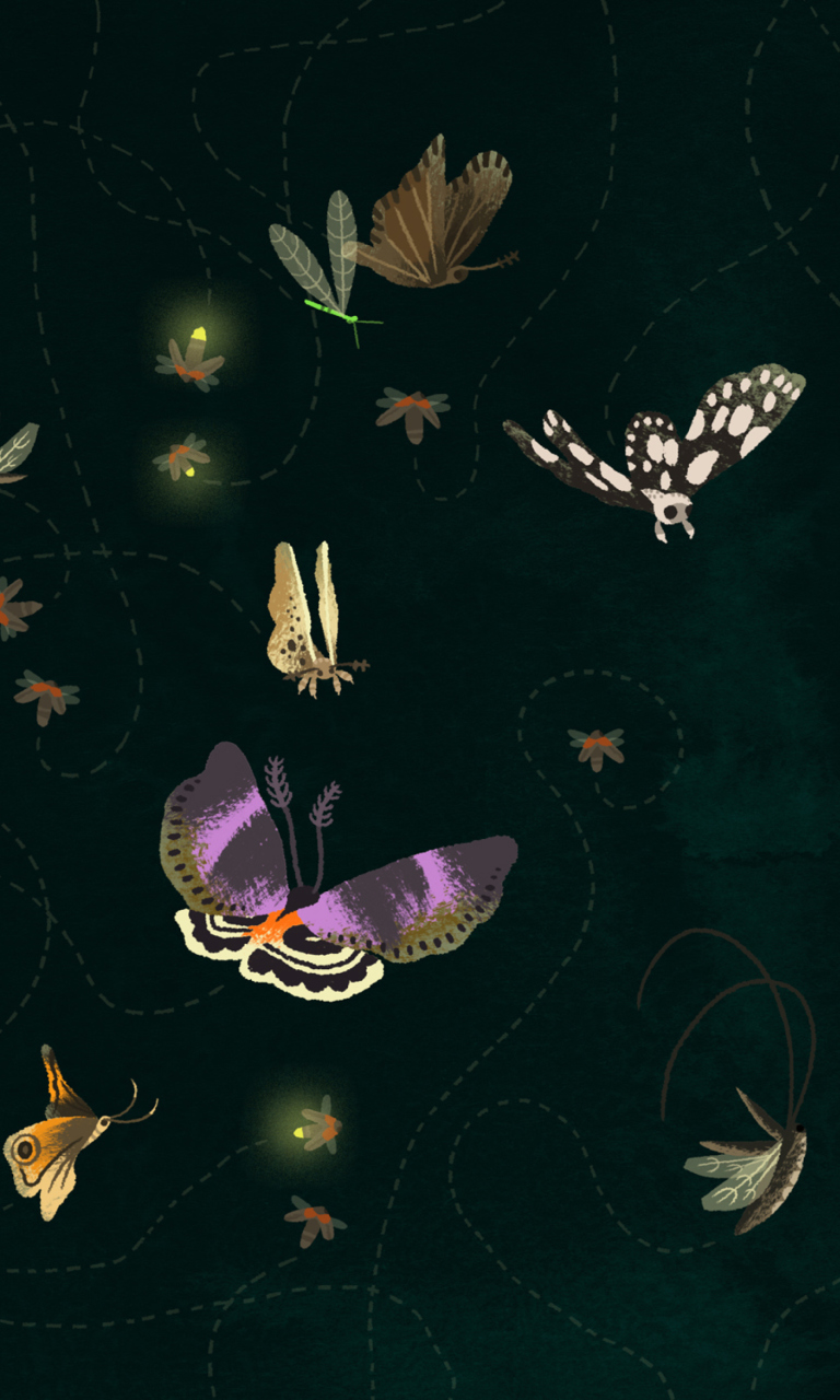 Das Butterflies Wallpaper 768x1280