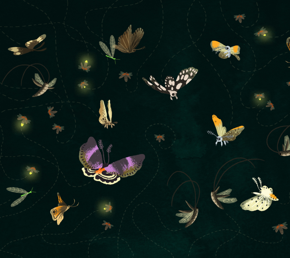 Das Butterflies Wallpaper 960x854