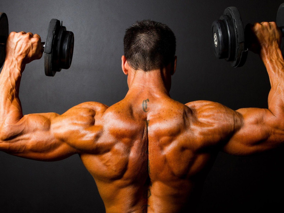 Athlete With Dumbbells In Gym wallpaper 1152x864