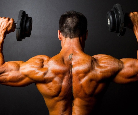 Athlete With Dumbbells In Gym wallpaper 480x400