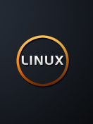 Sfondi Linux OS Black 132x176