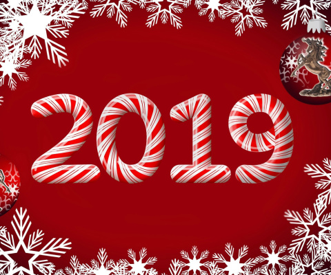 2019 New Year Red Style wallpaper 480x400