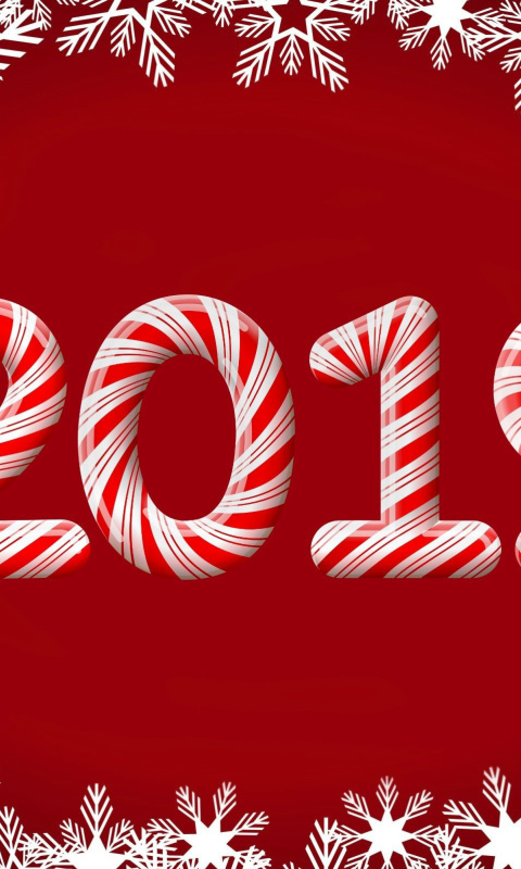 2019 New Year Red Style wallpaper 480x800