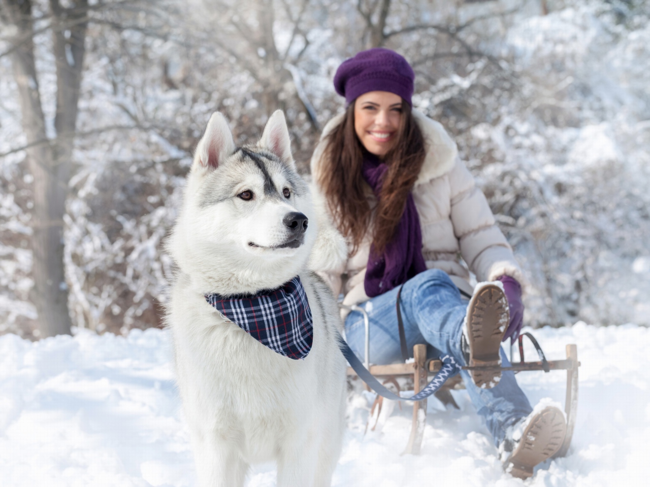 Fondo de pantalla Husky And Girl 1280x960