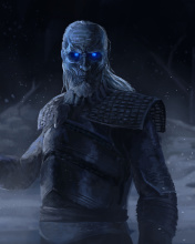 White Walkers wallpaper 176x220