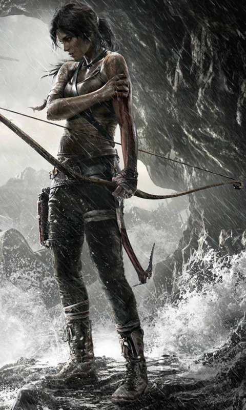 Tomb Raider wallpaper 480x800