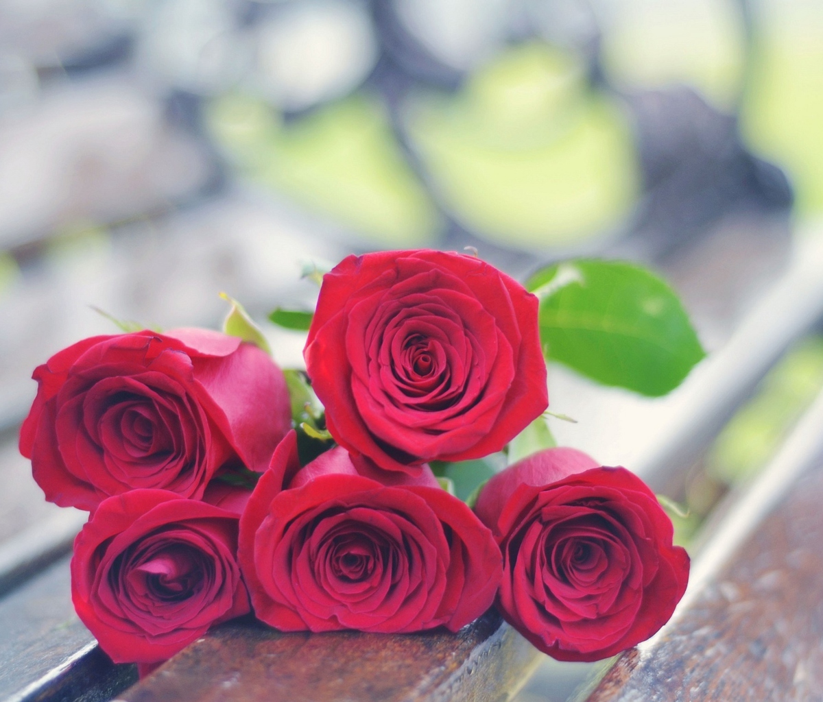 Fondo de pantalla Red Roses Bouquet On Bench 1200x1024