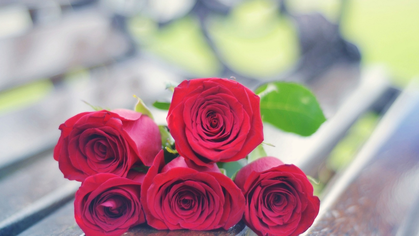 Fondo de pantalla Red Roses Bouquet On Bench 1366x768