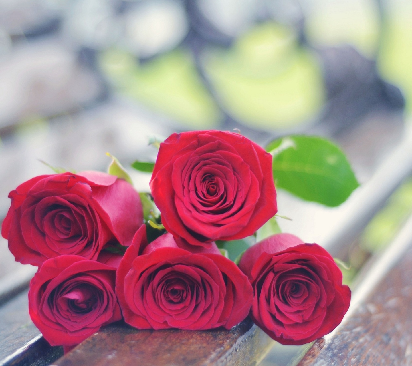 Fondo de pantalla Red Roses Bouquet On Bench 1440x1280