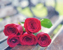 Fondo de pantalla Red Roses Bouquet On Bench 220x176