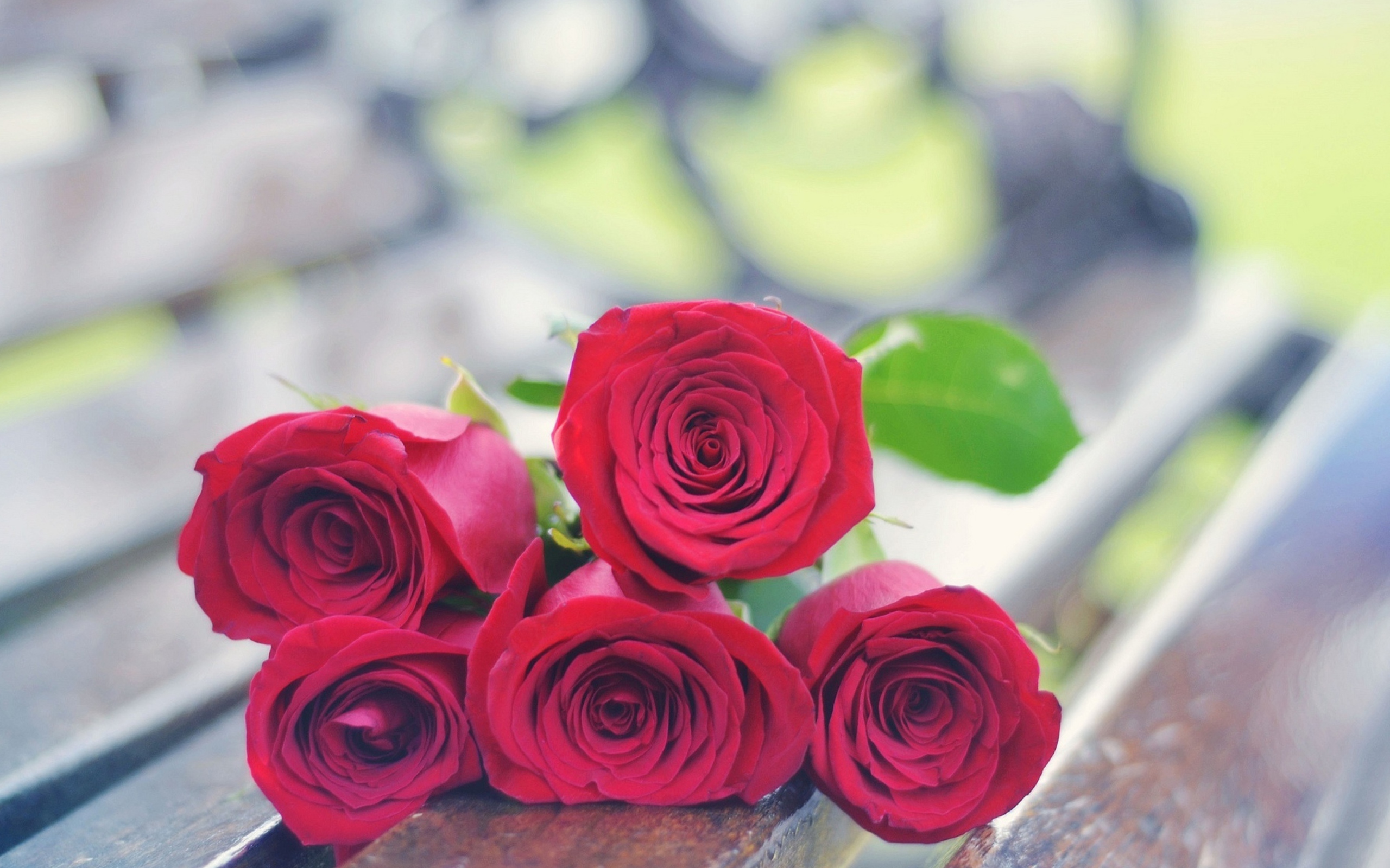 Das Red Roses Bouquet On Bench Wallpaper 2560x1600