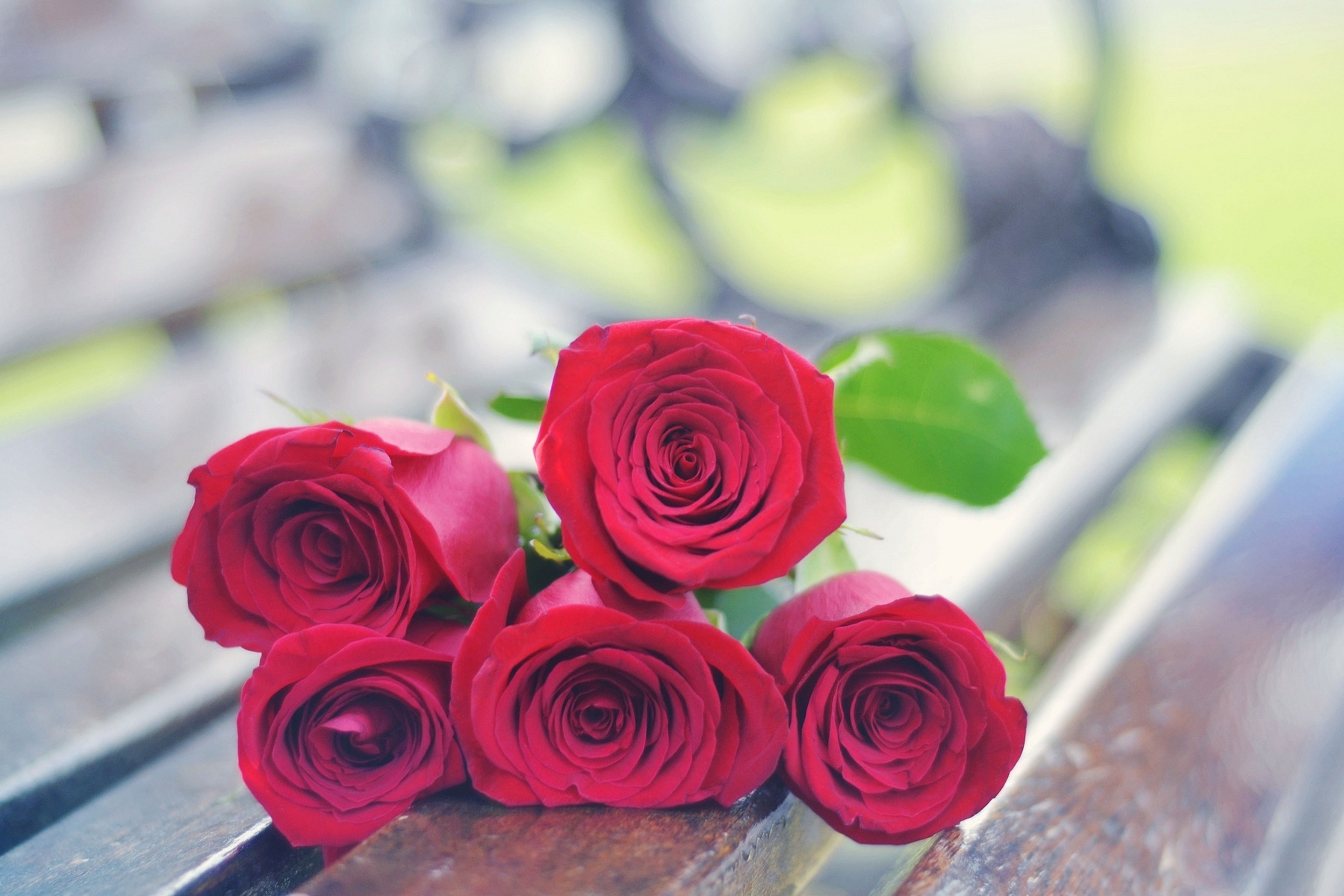 Fondo de pantalla Red Roses Bouquet On Bench 2880x1920