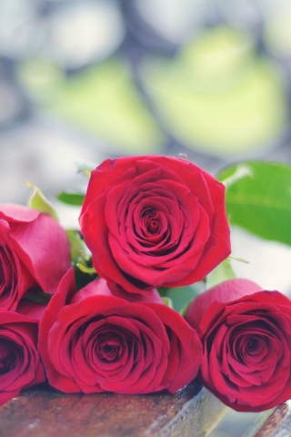 Red Roses Bouquet On Bench wallpaper 320x480