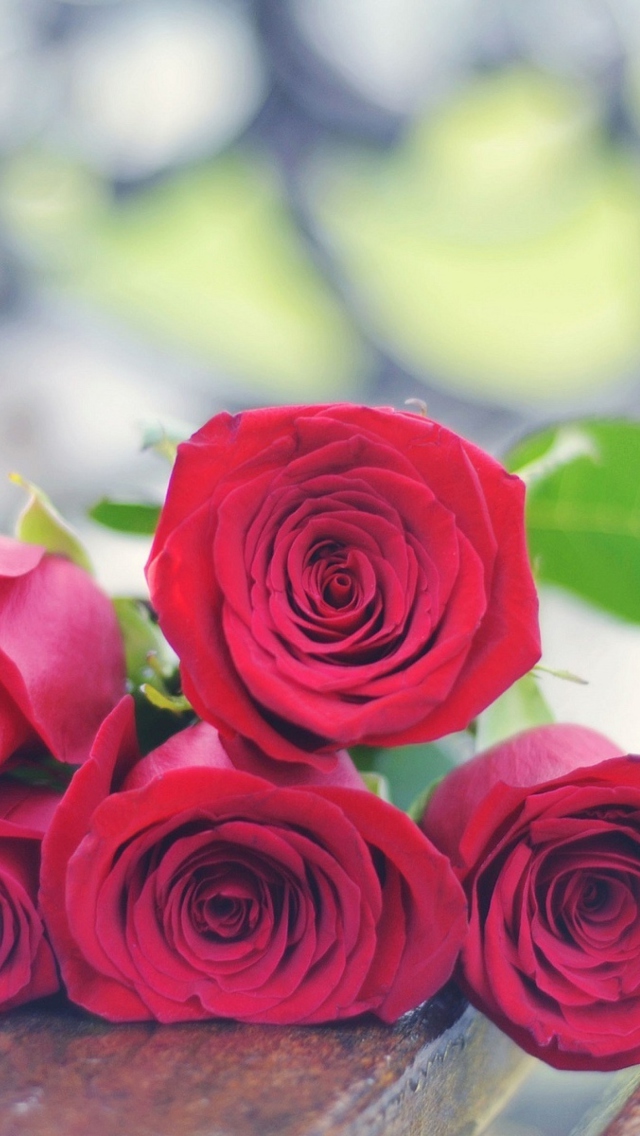 Red Roses Bouquet On Bench wallpaper 640x1136