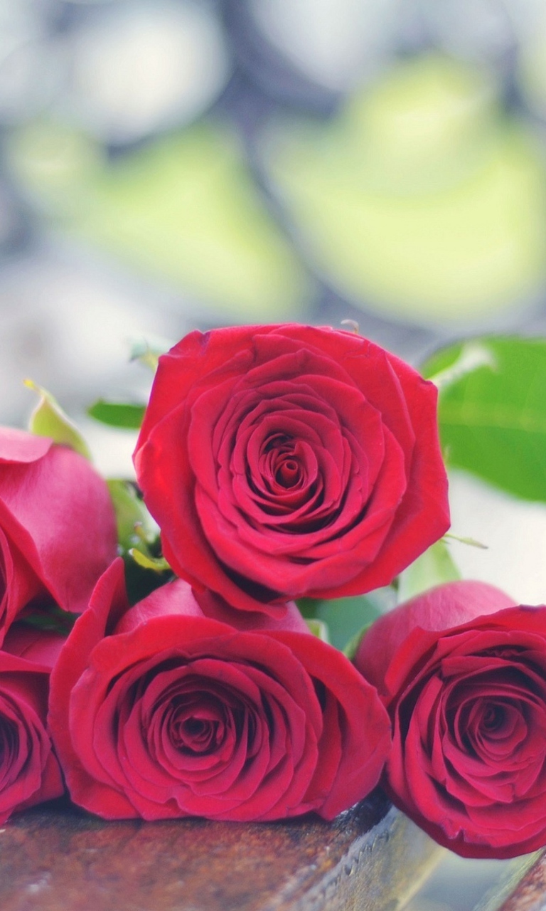 Das Red Roses Bouquet On Bench Wallpaper 768x1280