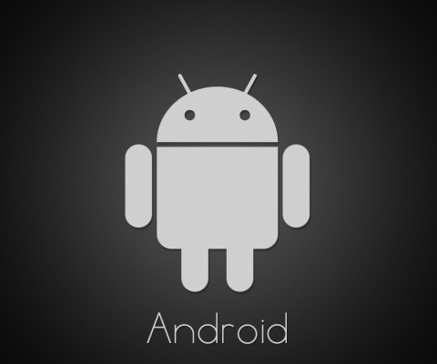 Android Google Logo wallpaper 480x400