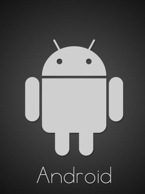 Fondo de pantalla Android Google Logo 480x640
